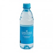 Вода природная питьевая артезианская Карельская жемчужина+ негазированная 0.33л